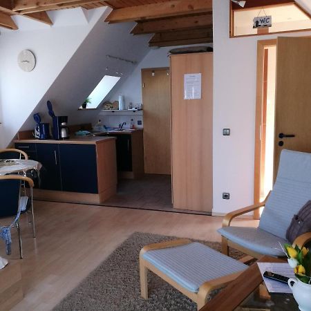 Galerie Am Hafen Apartment Zingst Bagian luar foto